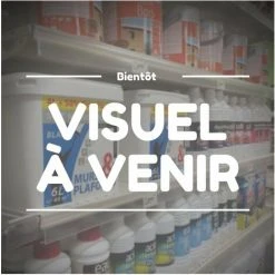 ALDES Sachet 10 Embouts Pour Vis